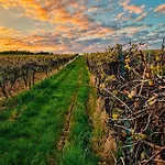 Pinterest Auf Dem Dorf -