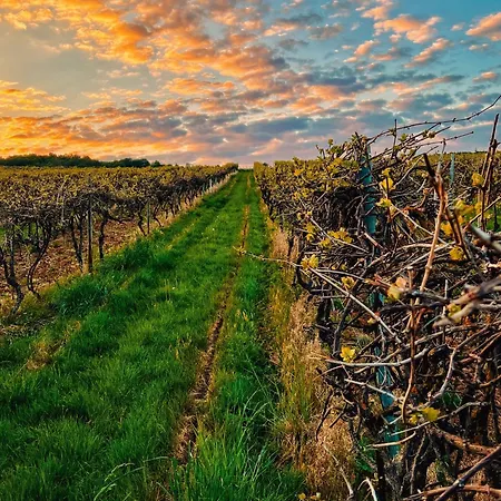 Pinterest Auf Dem Dorf -