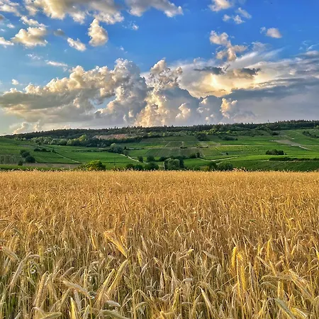 公寓 Pinterest Auf Dem Dorf - Rummelsheim