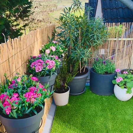 Pinterest Auf Dem Dorf - *