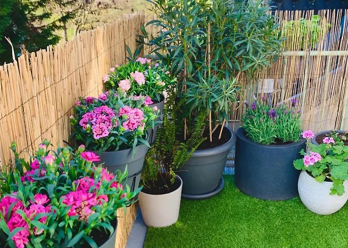 Pinterest Auf Dem Dorf - *